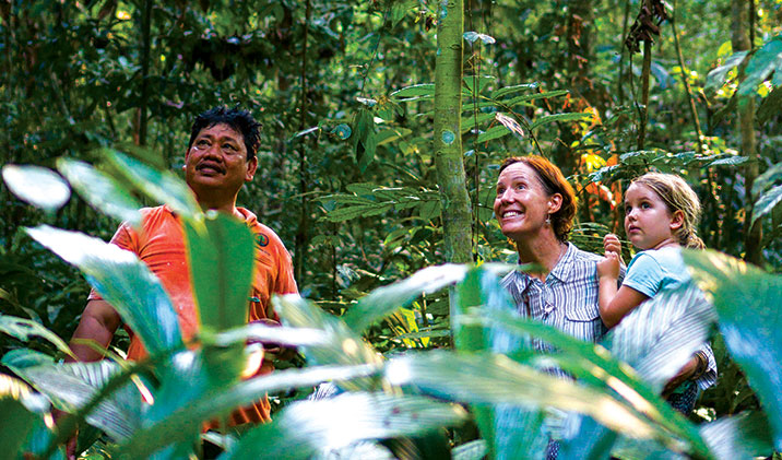 ORANGUTAN KUTAI NATIONAL PARK