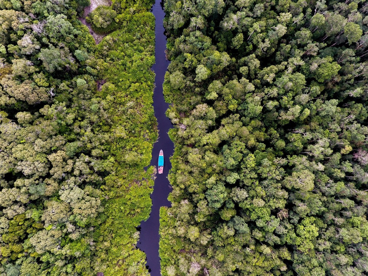 ORANGUTAN SPEEDBOAT DAY TOUR TO TANJUNG PUTING