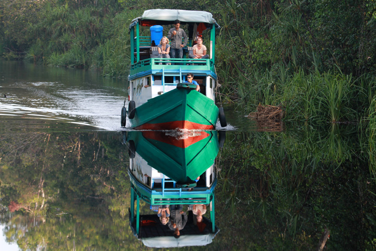 WILDLIFE EXPERIENCE 4D3N ORANGUTAN RIVER CRUISE